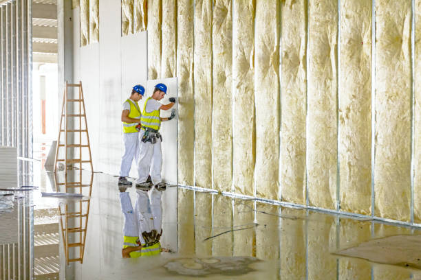 Trusted Lockwood, MO Insulation Contractor Experts